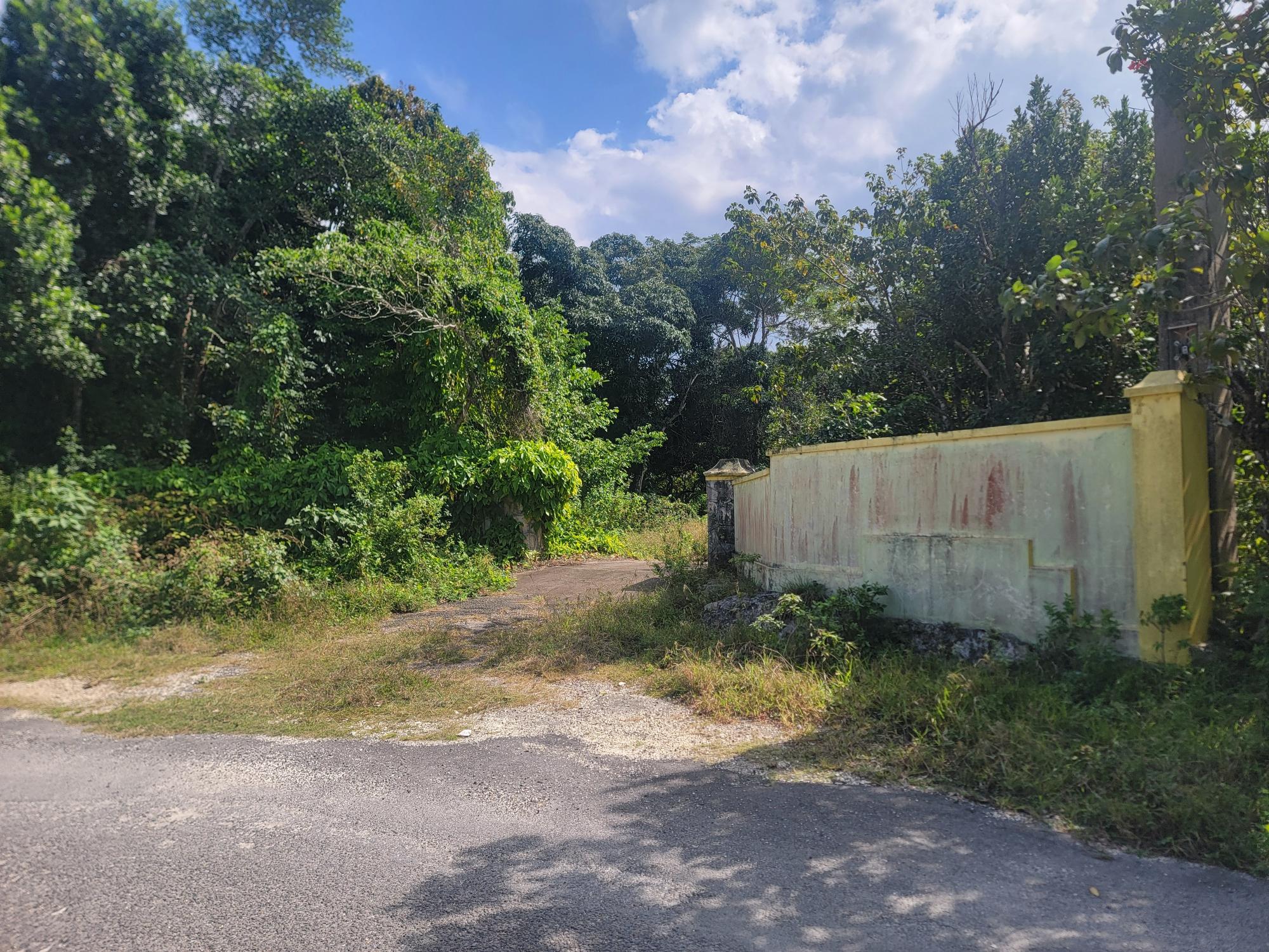 Real Estate Jamaica