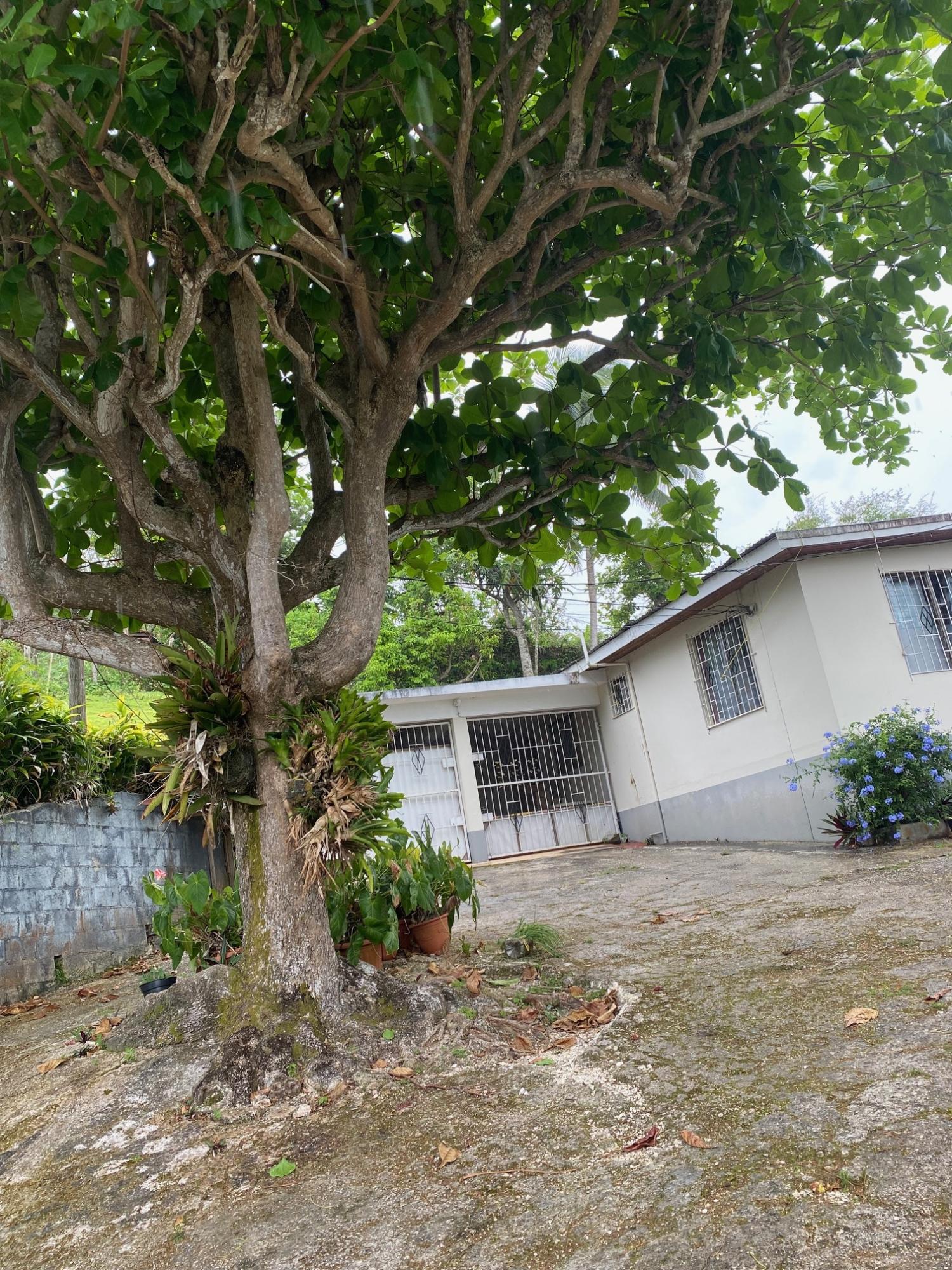 Real Estate Jamaica