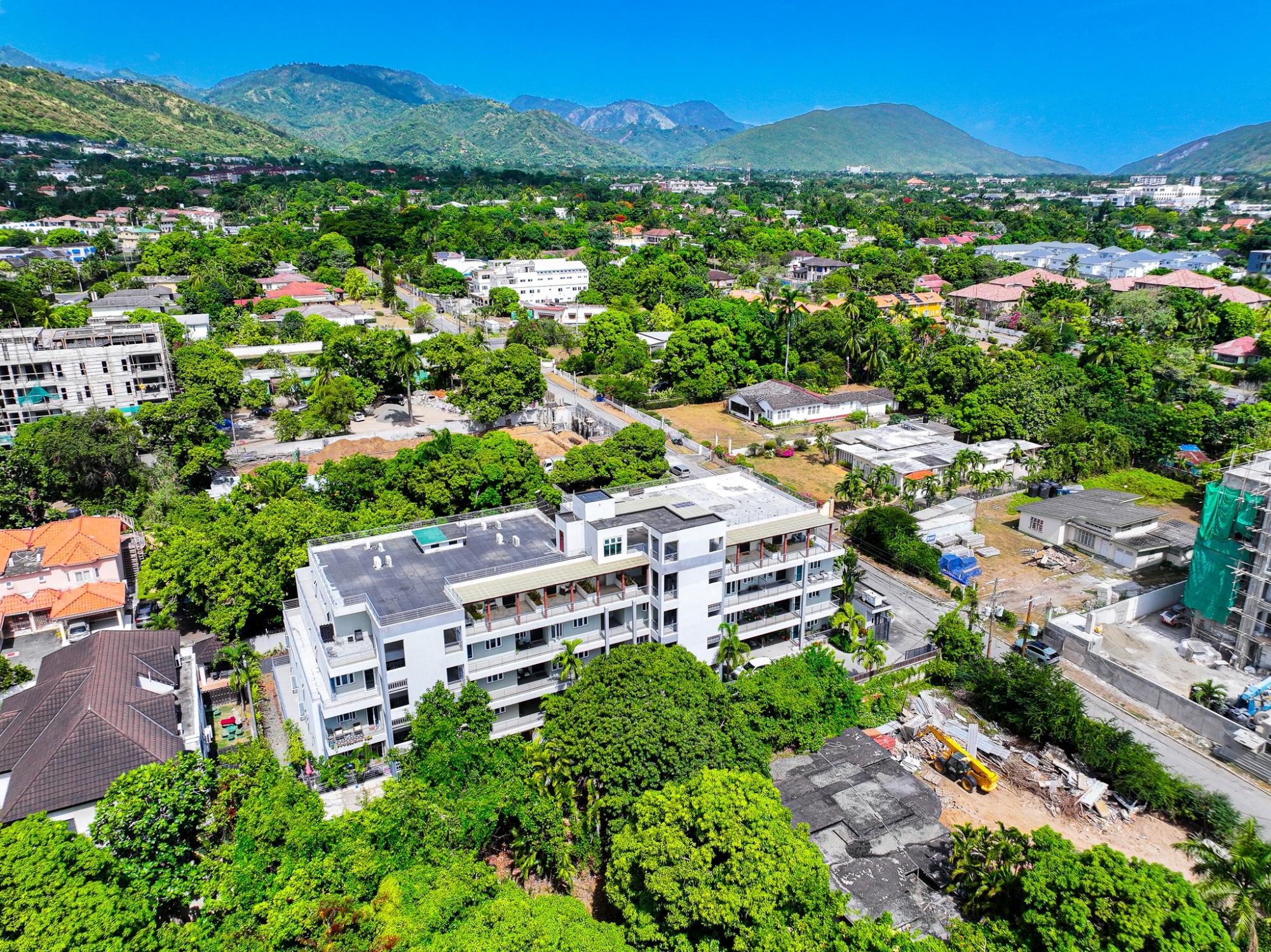 Apartment for Rent Kingston 6