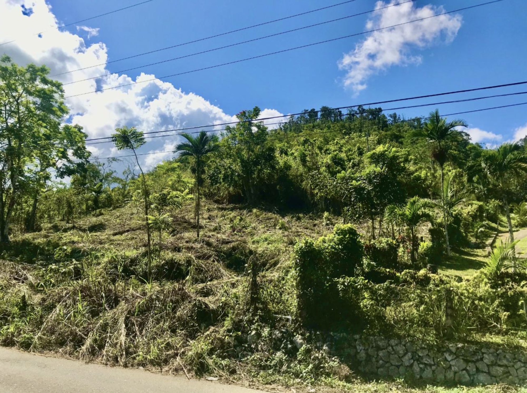 Real Estate Jamaica