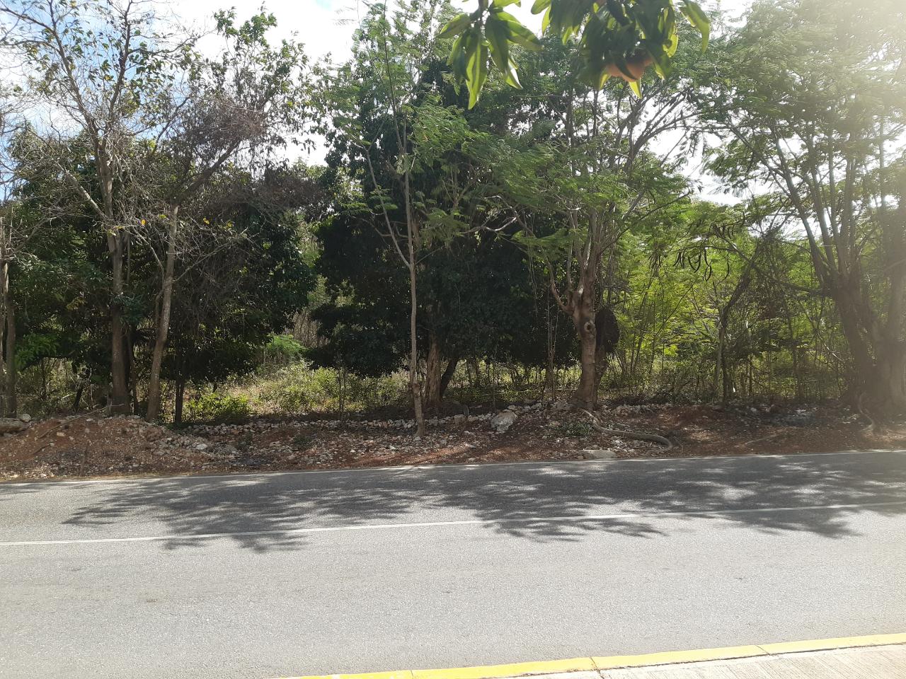 Real Estate Jamaica
