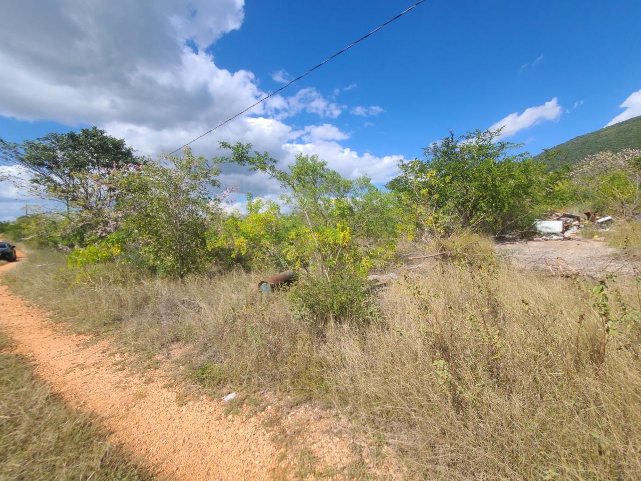 Real Estate Jamaica