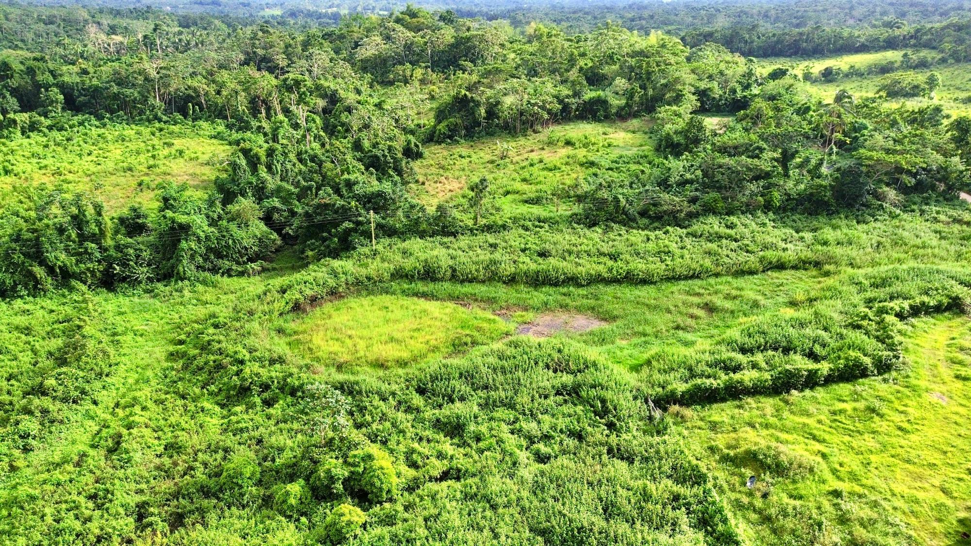 Real Estate Jamaica