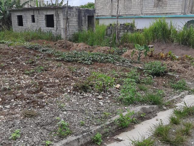 Real Estate Jamaica