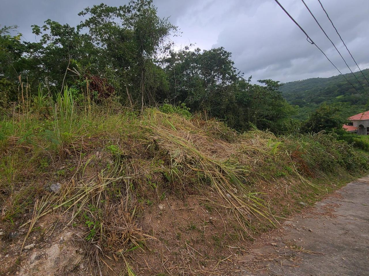 IMMOBILIEN LIMITED - Residential Lot for Sale USD $150000 - St. Ann's Bay  in St. Ann
