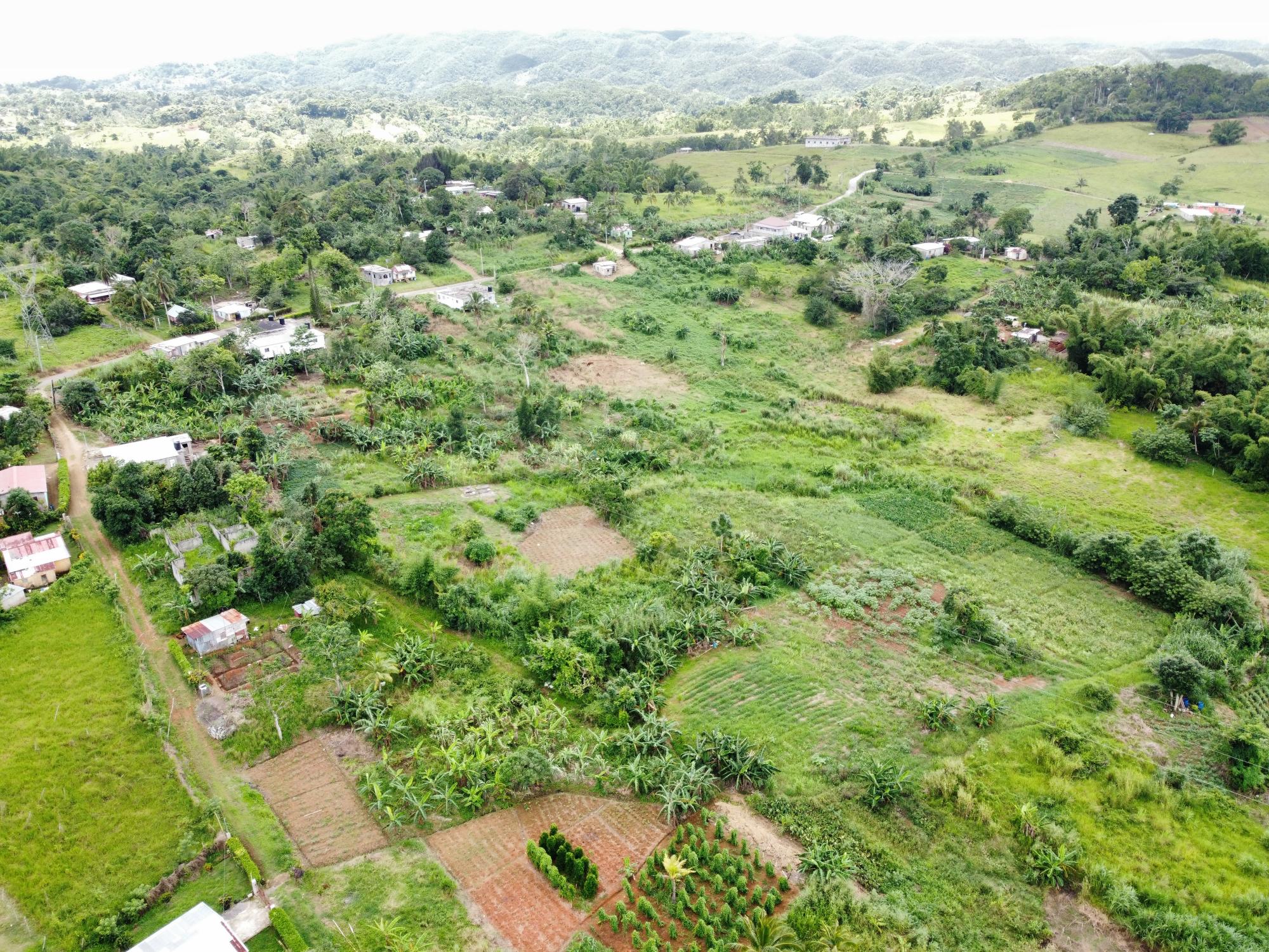 Real Estate Jamaica