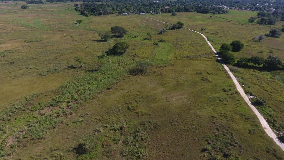 Real Estate Jamaica