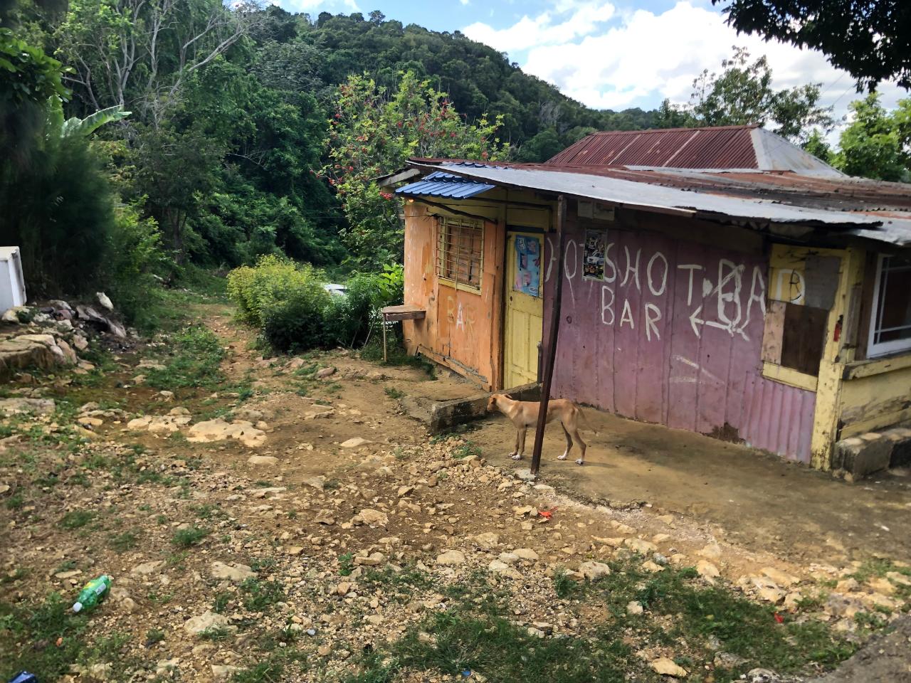 Real Estate Jamaica