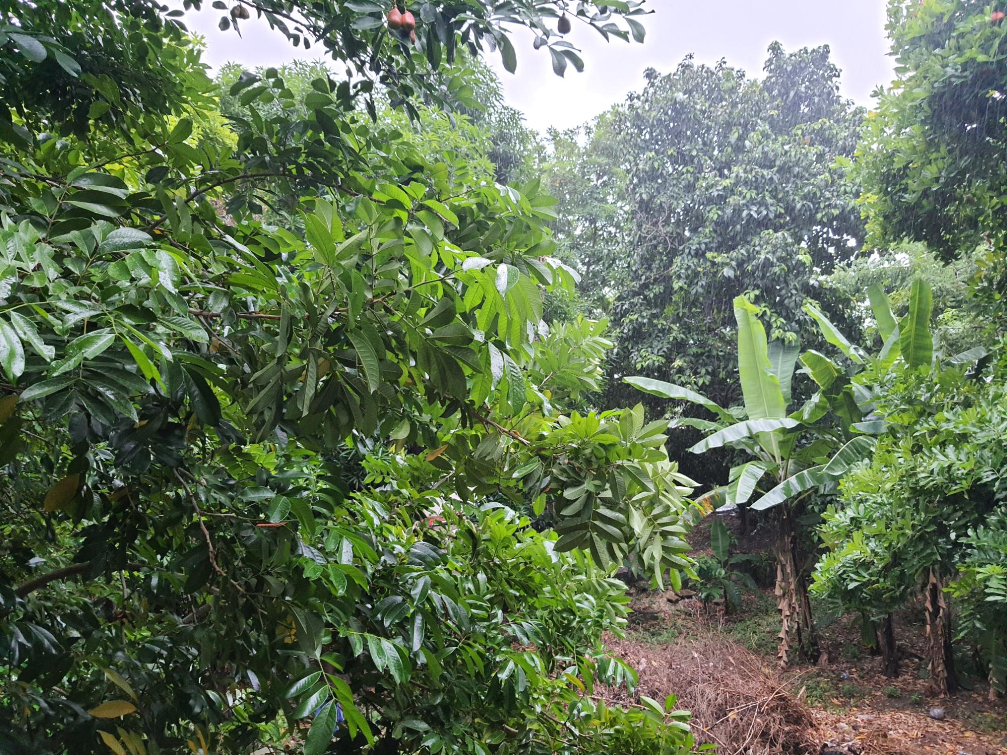 House For Sale in Portview Avenue , Kingston & St. Andrew MLS82665