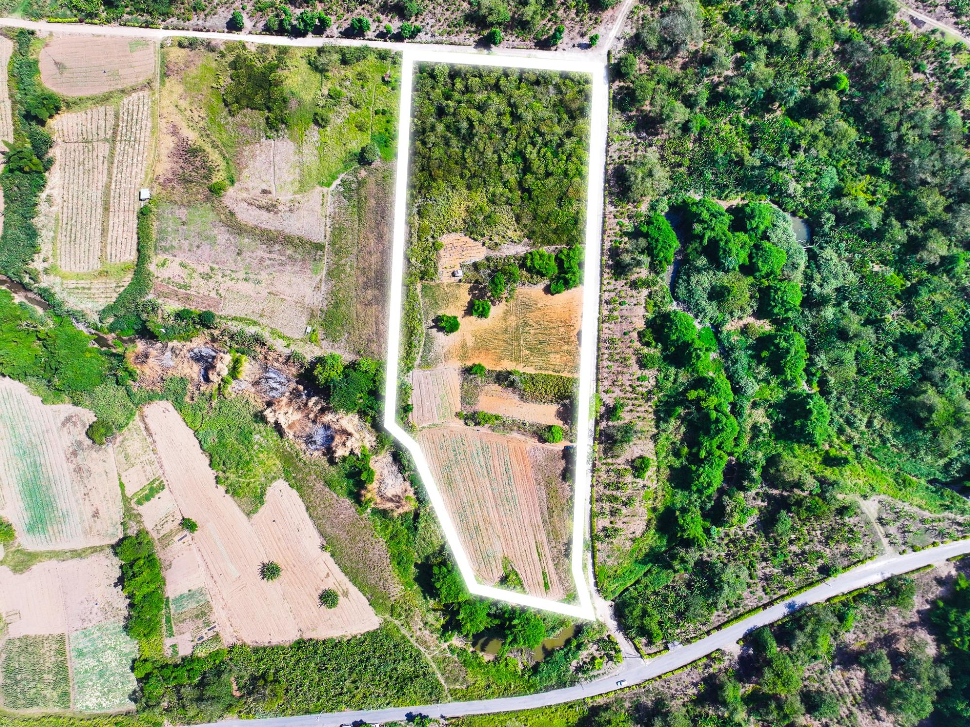 Farm/Agricultural Lot for Sale Cave Valley