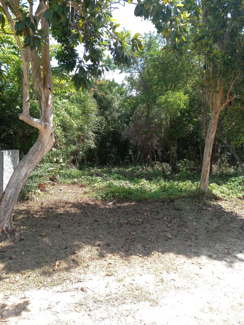 properties-1