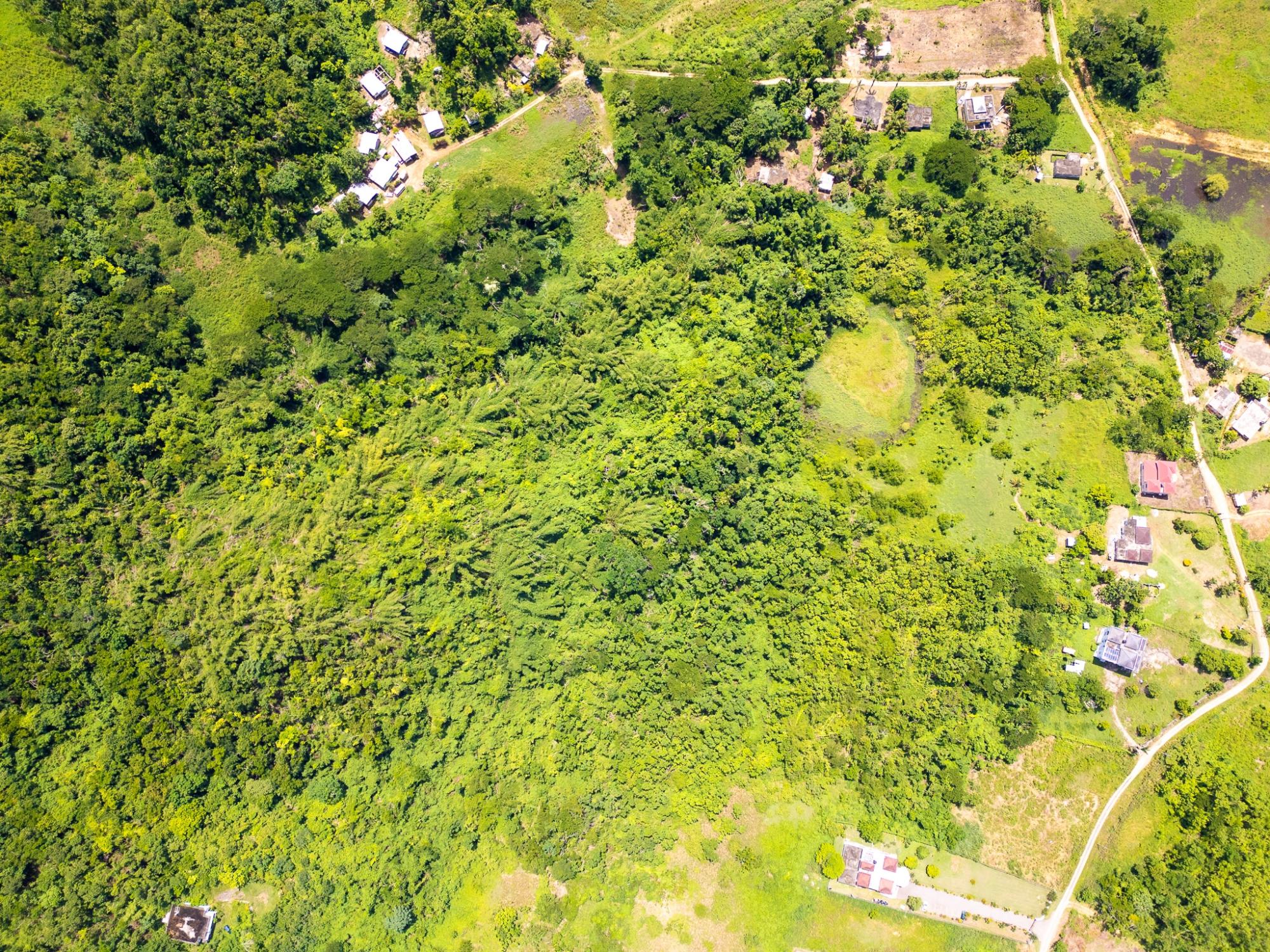 Real Estate Jamaica