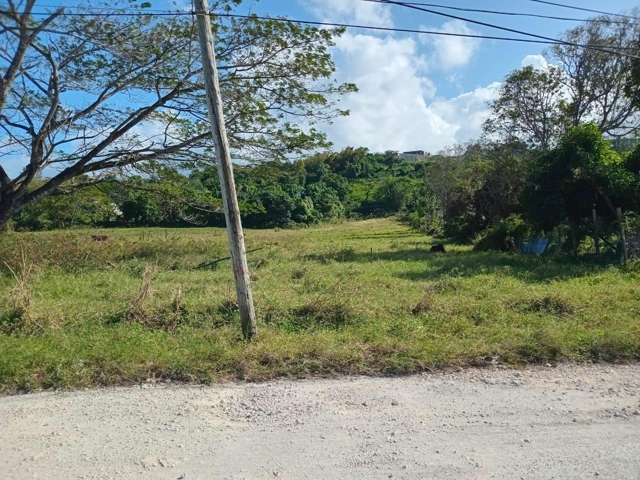 Real Estate Jamaica