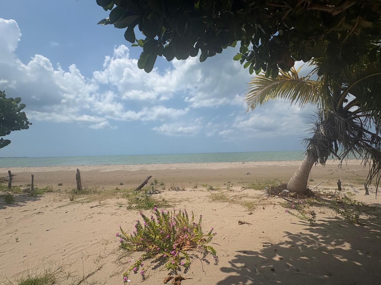 Resort Apartment/Villa for Sale Black River