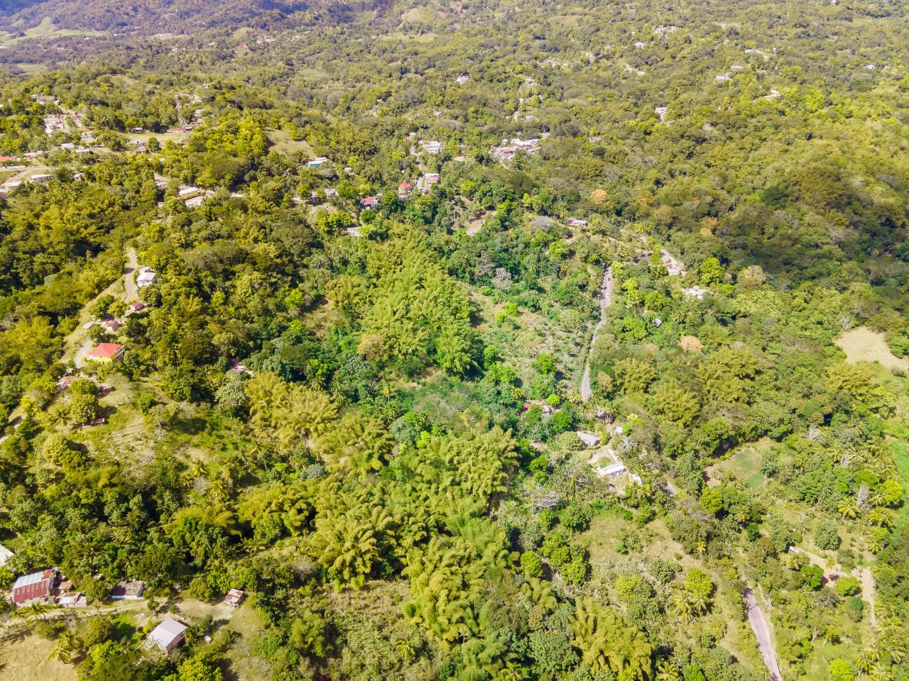 Real Estate Jamaica