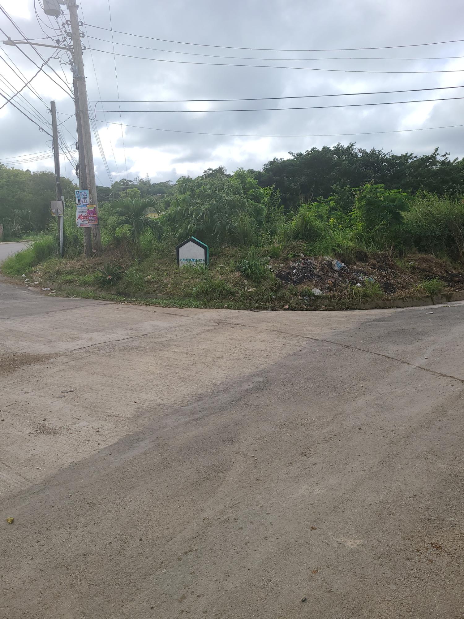 Real Estate Jamaica