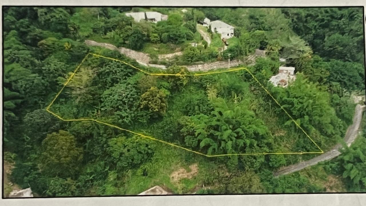 Real Estate Jamaica