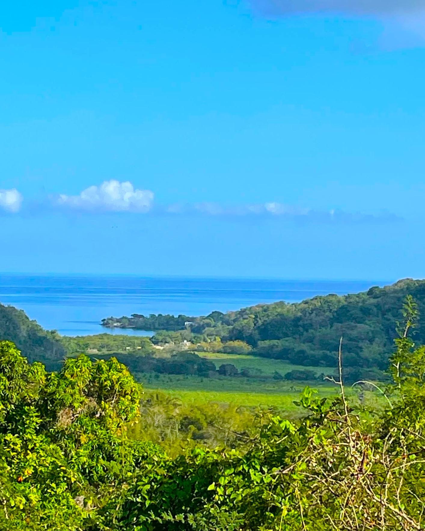 Real Estate Jamaica