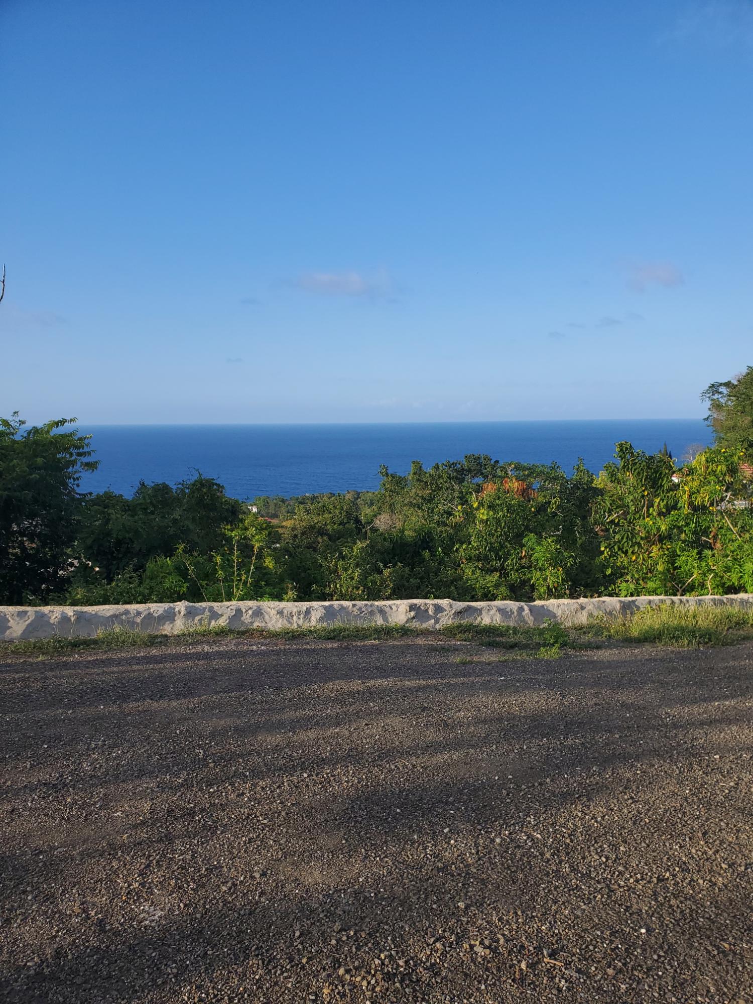 Real Estate Jamaica