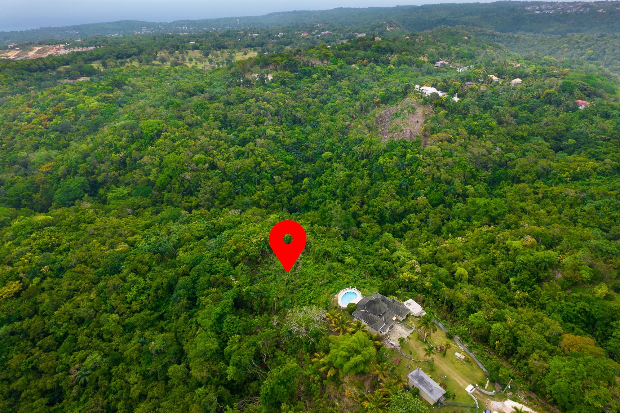 Real Estate Jamaica