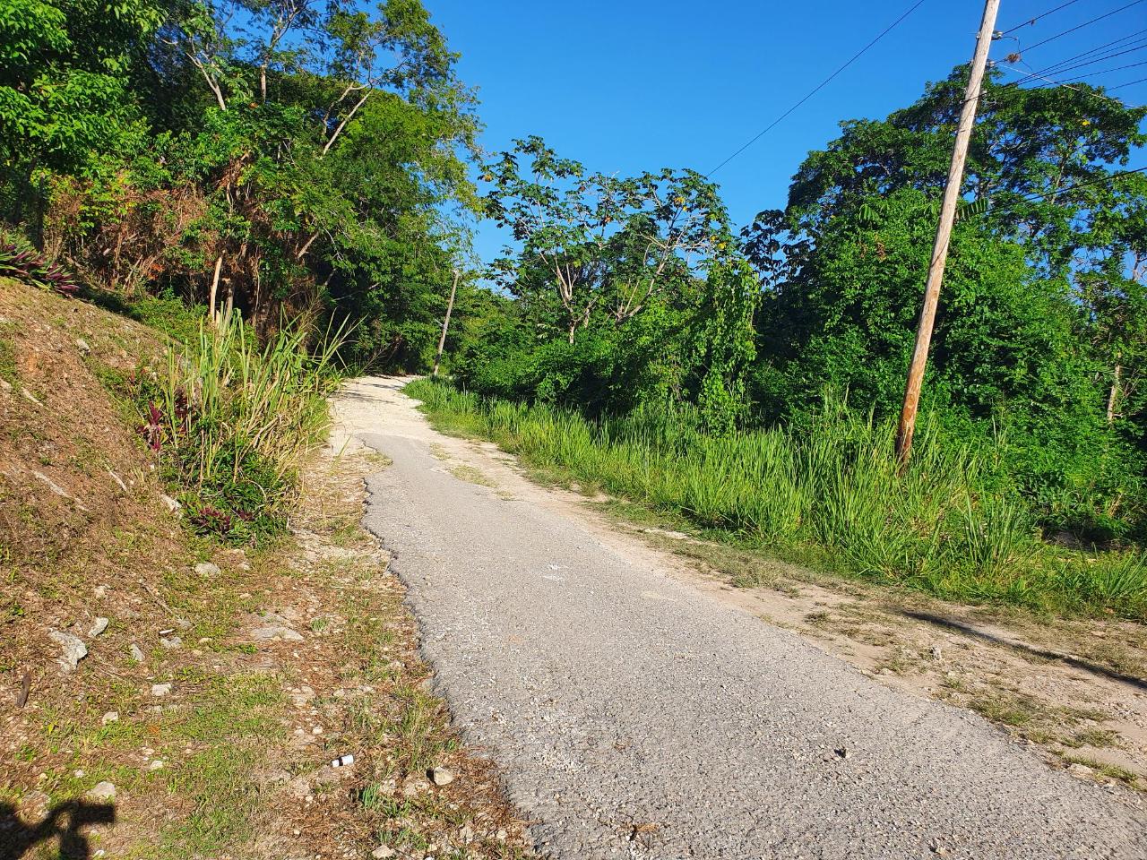Real Estate Jamaica