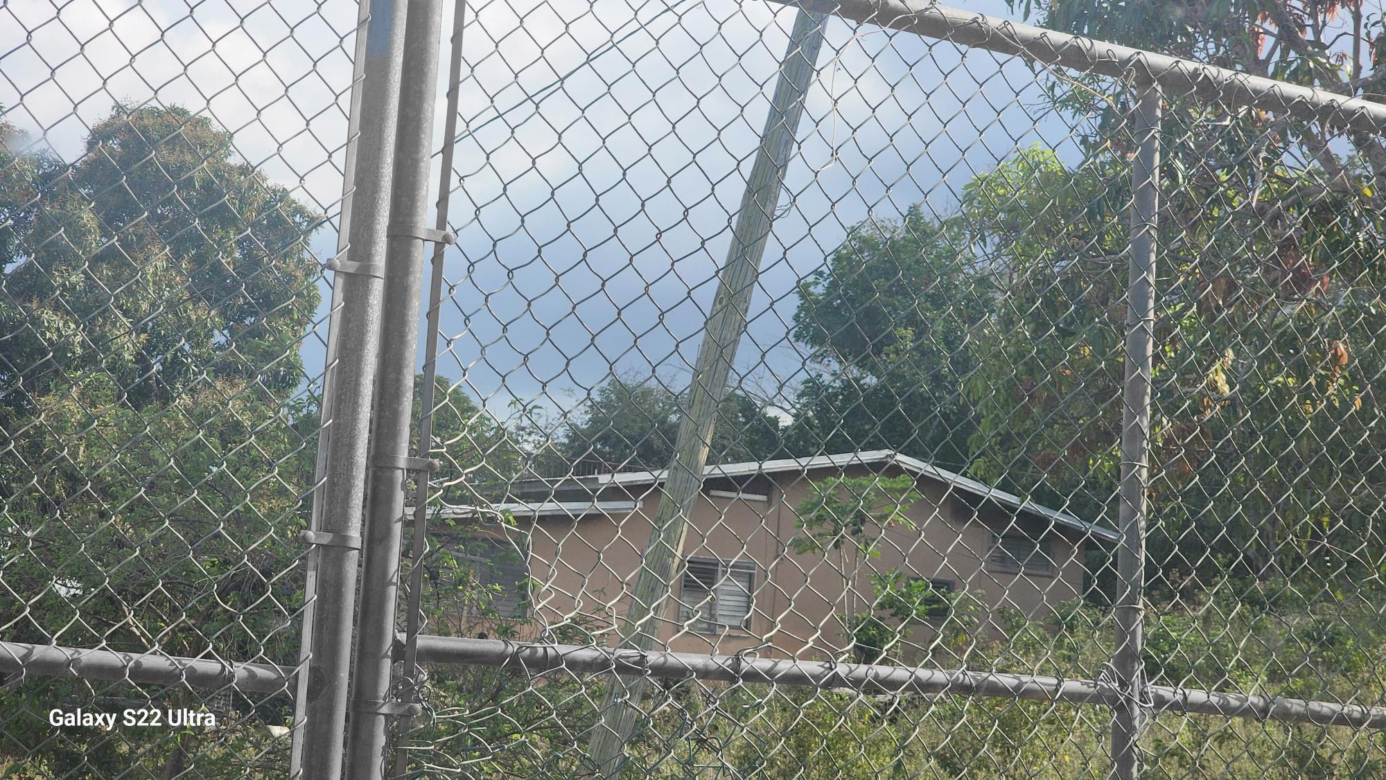 Real Estate Jamaica