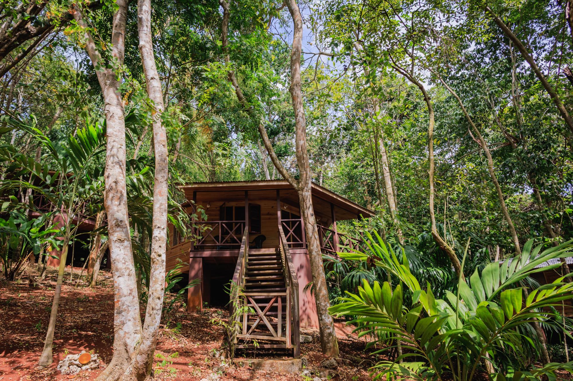 Real Estate Jamaica
