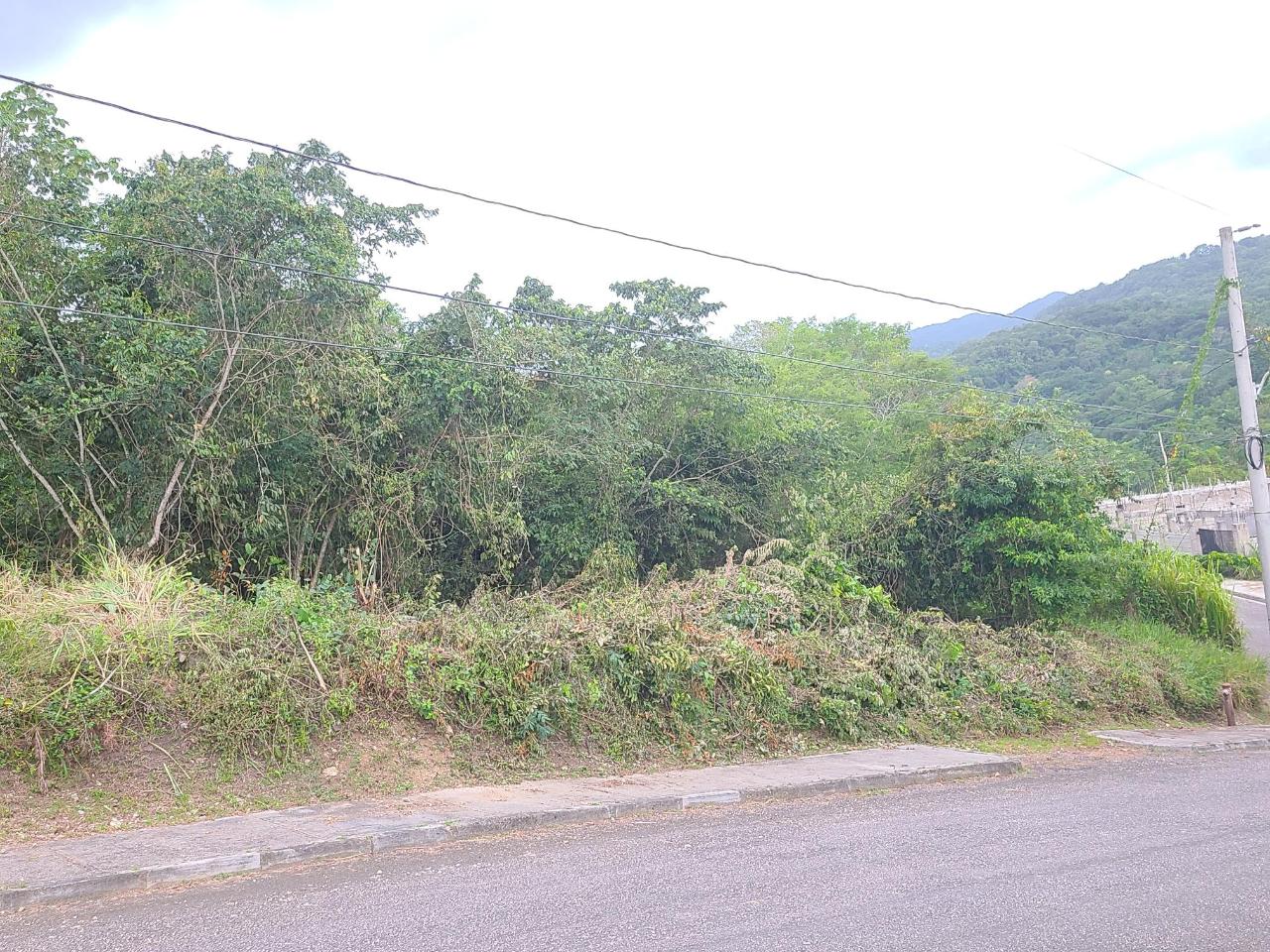 Residential Lot For Sale Napa Heights, Drax Hall, St. Ann USD$150,000