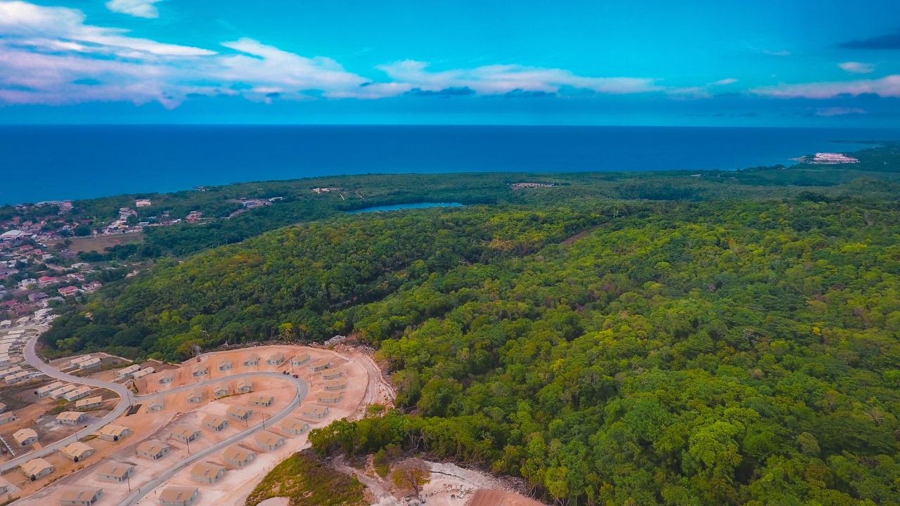Real Estate Jamaica