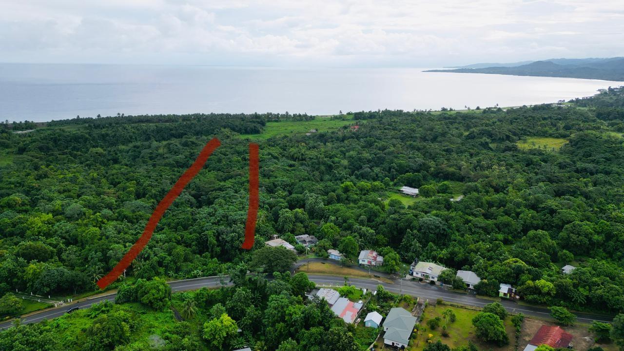 Real Estate Jamaica