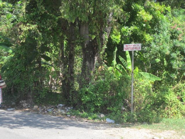 Real Estate Jamaica