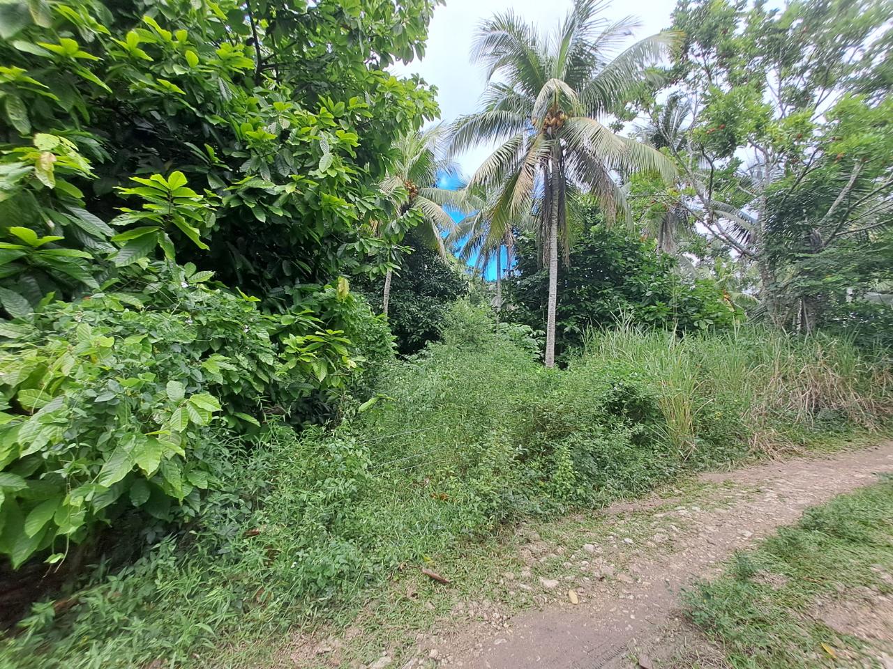 Real Estate Jamaica