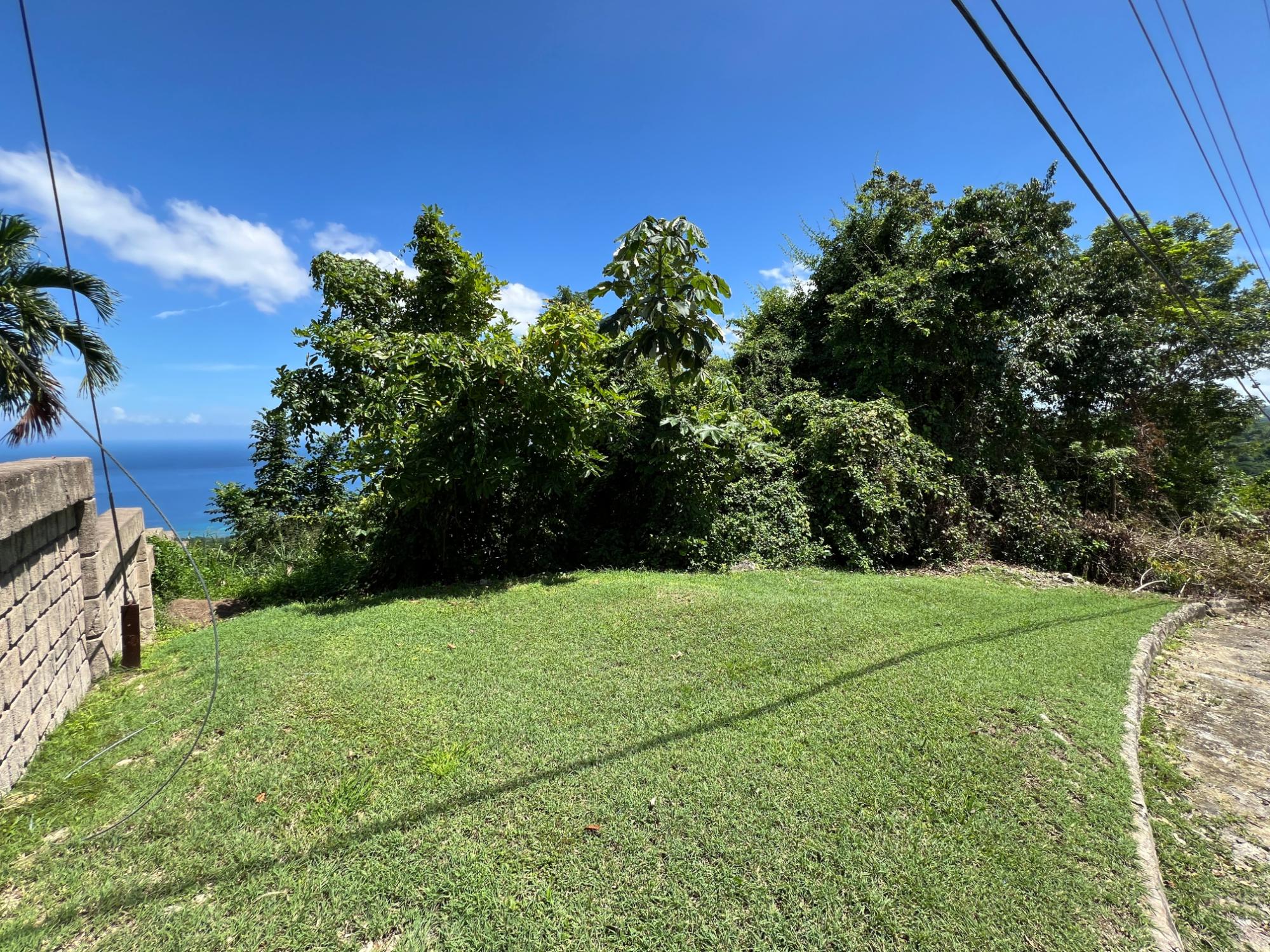Real Estate Jamaica