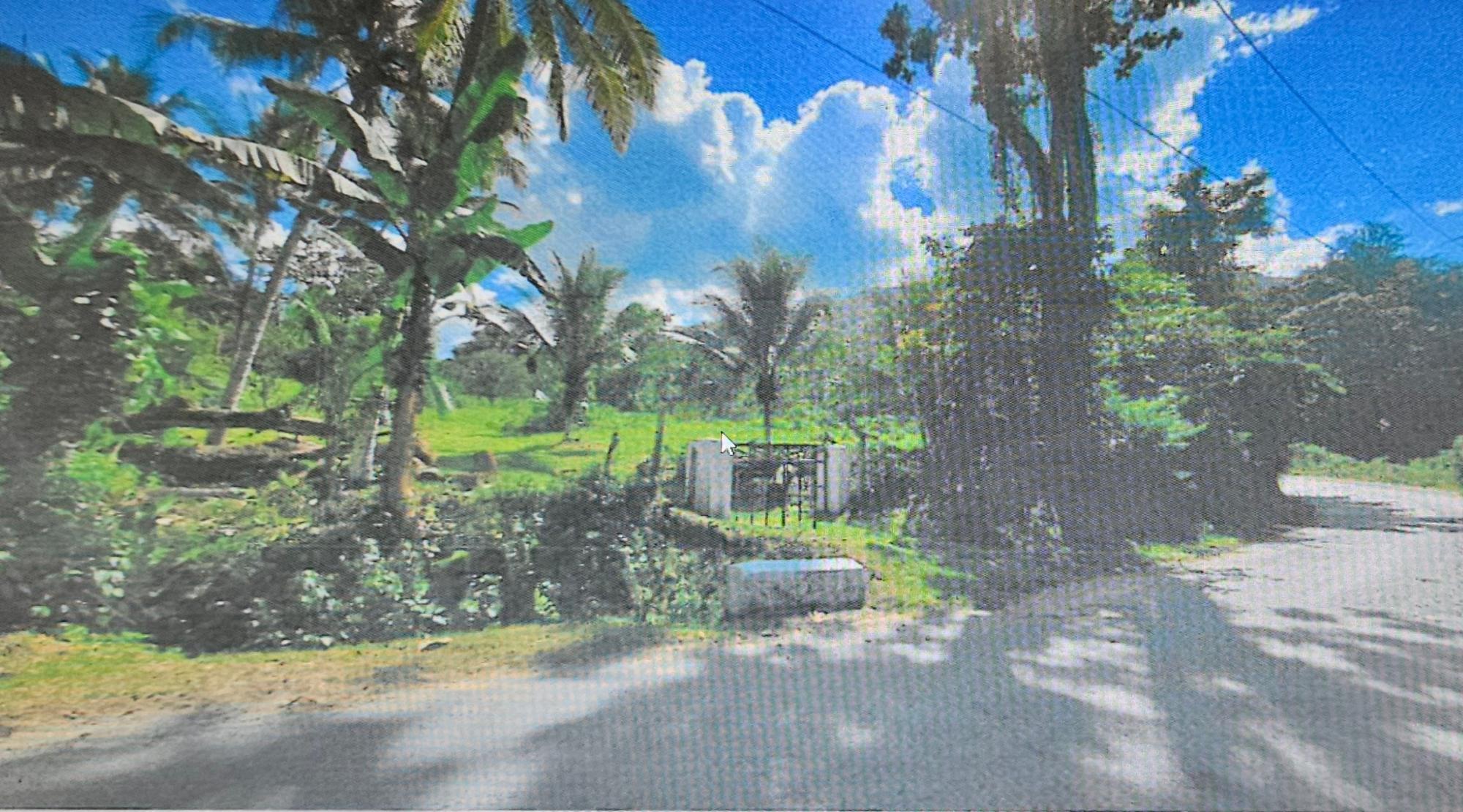 Real Estate Jamaica