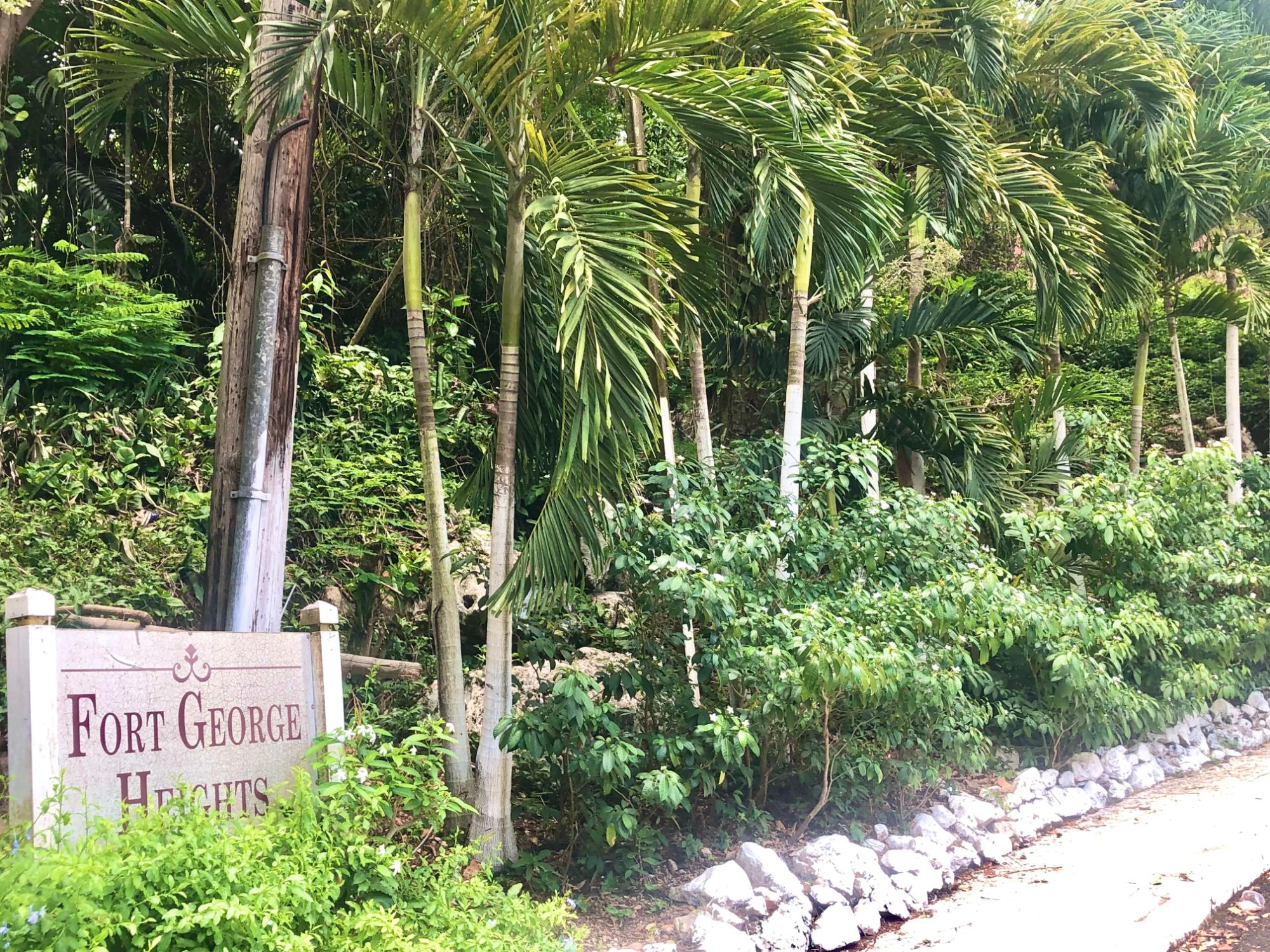 Residential Lot for Sale Kingston 9