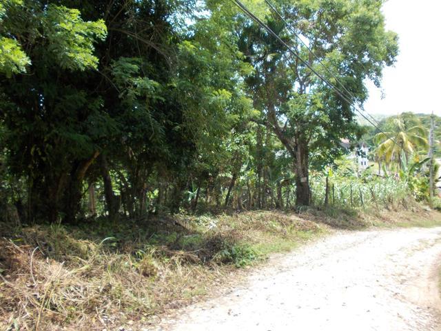 Real Estate Jamaica