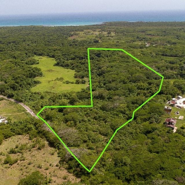 Real Estate Jamaica