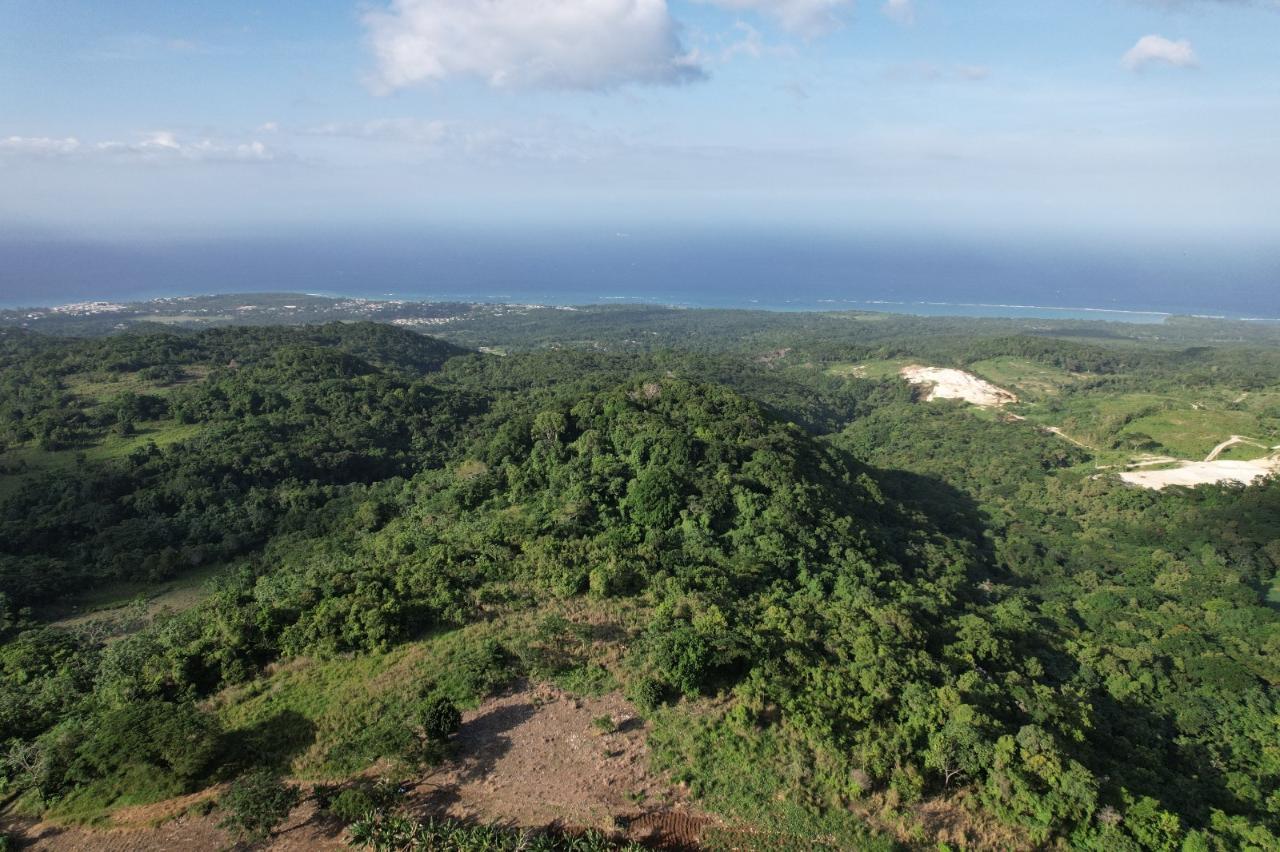 Real Estate Jamaica