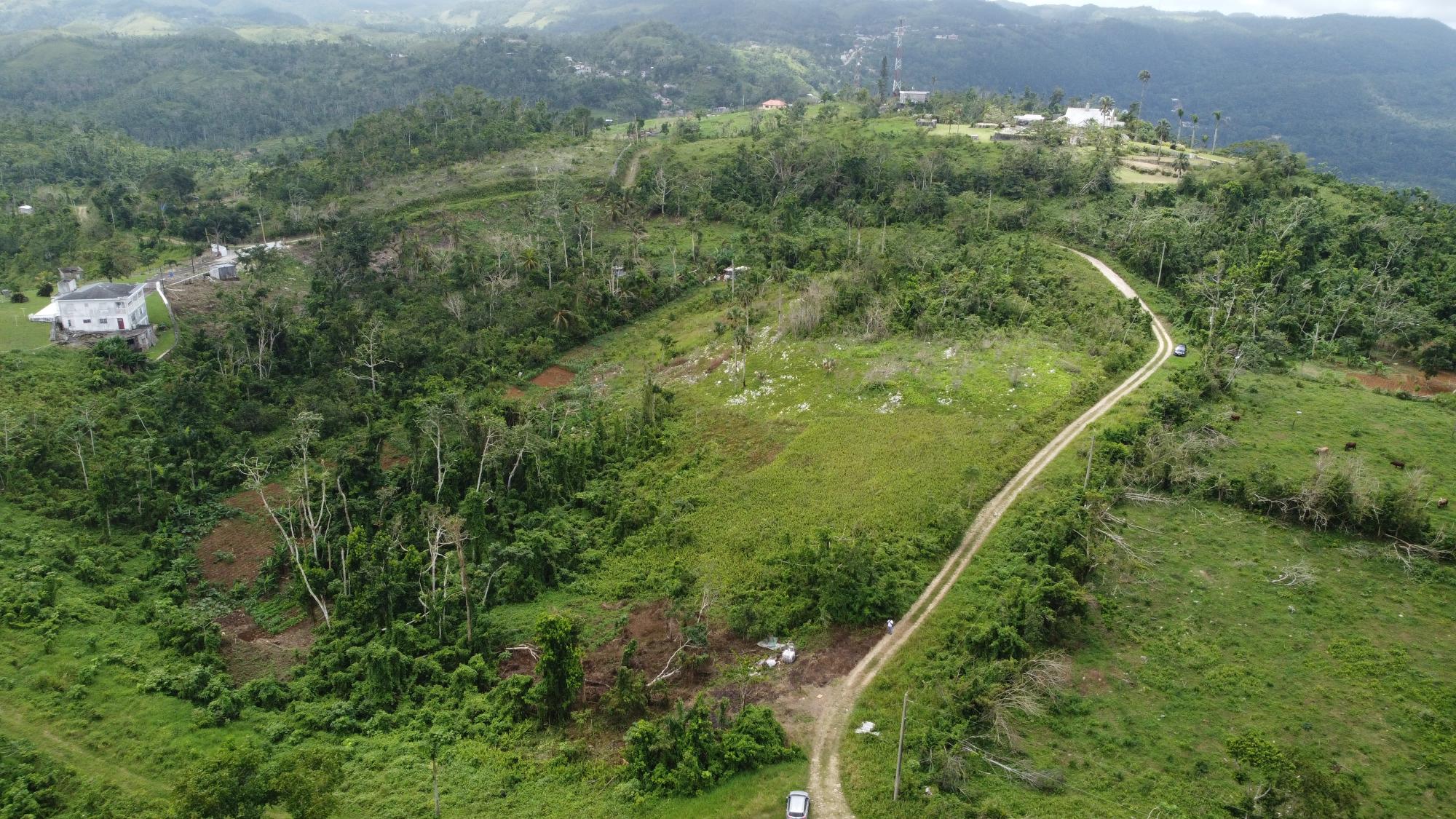 Residential Lot for Sale Golden Spring