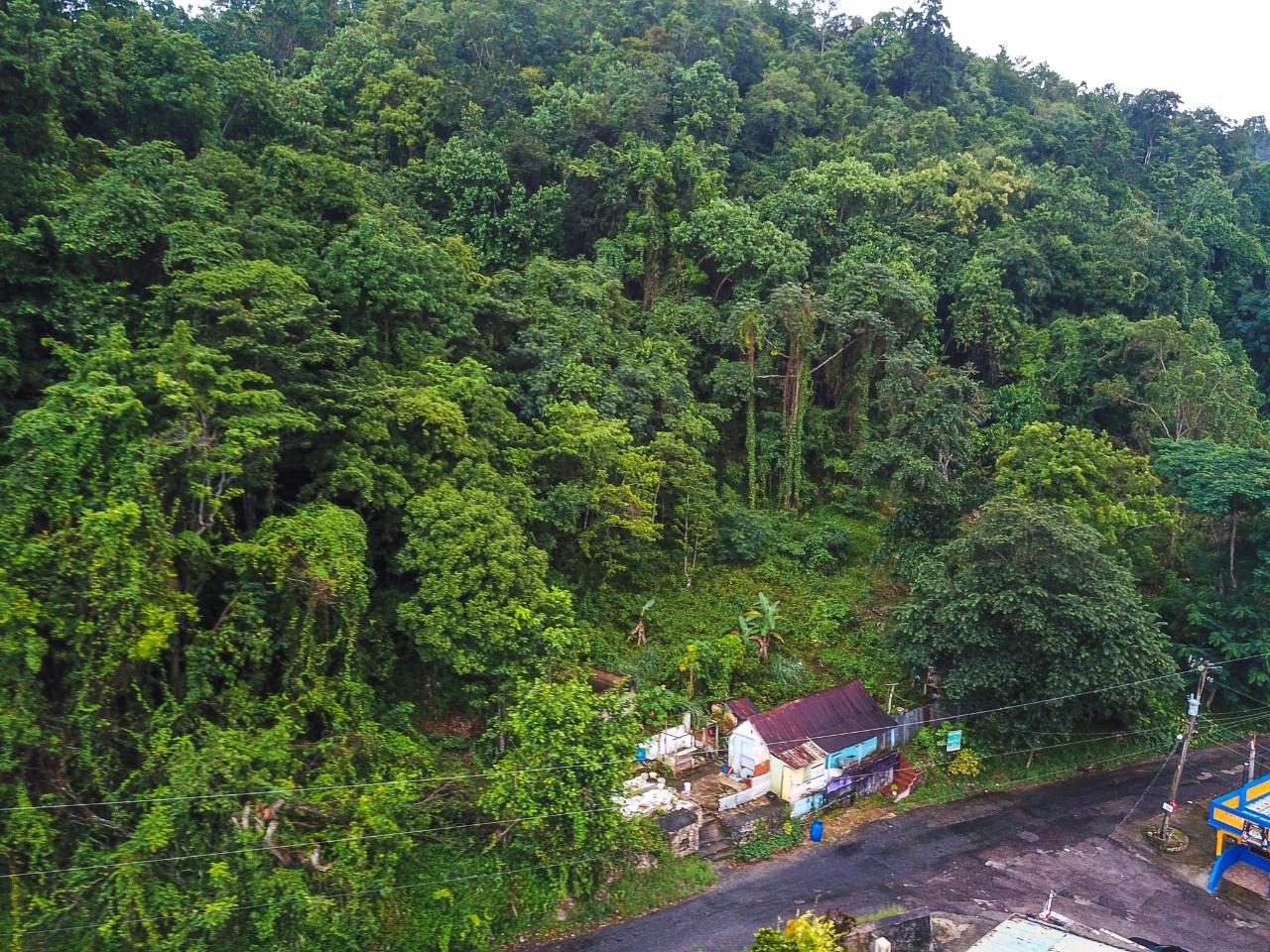 Real Estate Jamaica