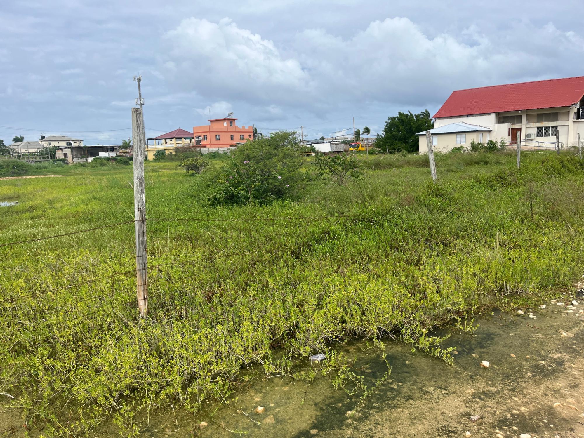 Real Estate Jamaica