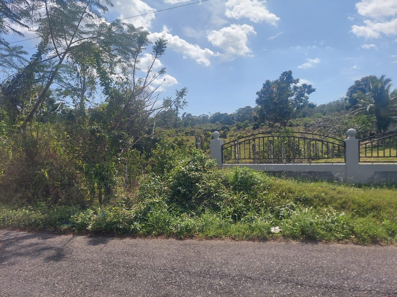 Real Estate Jamaica