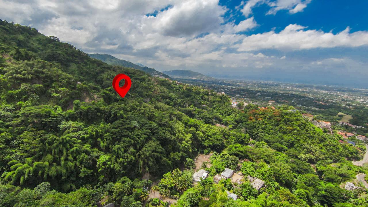 Real Estate Jamaica