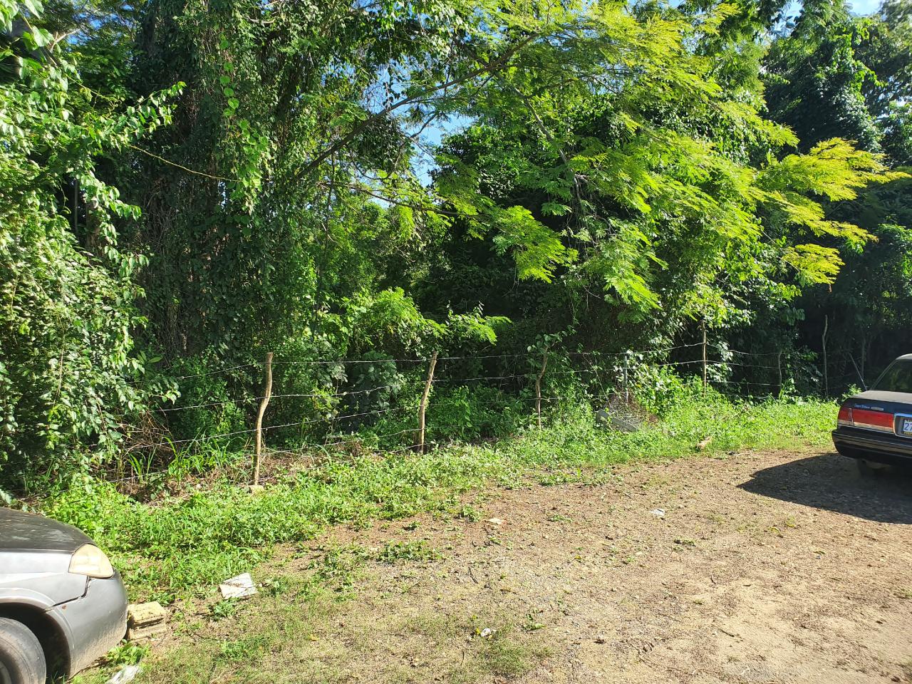 Real Estate Jamaica