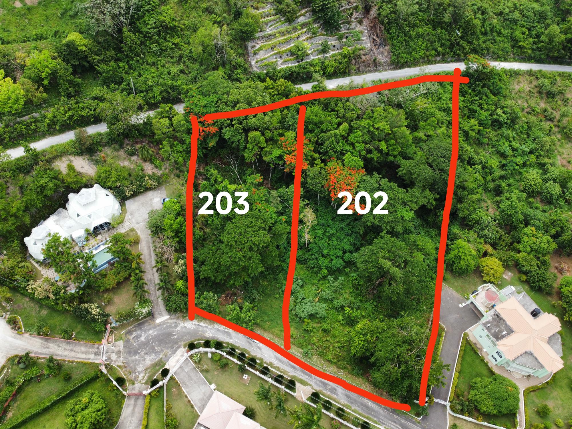 Real Estate Jamaica