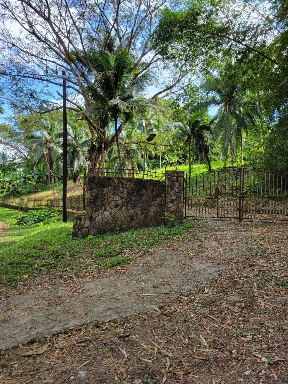 Real Estate Jamaica