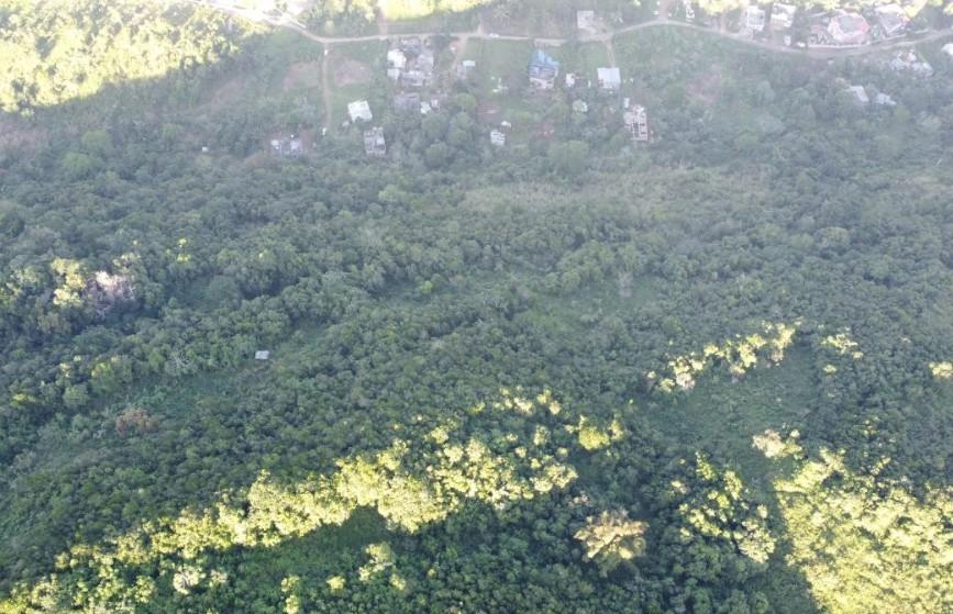 Real Estate Jamaica