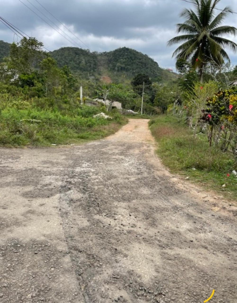 Real Estate Jamaica