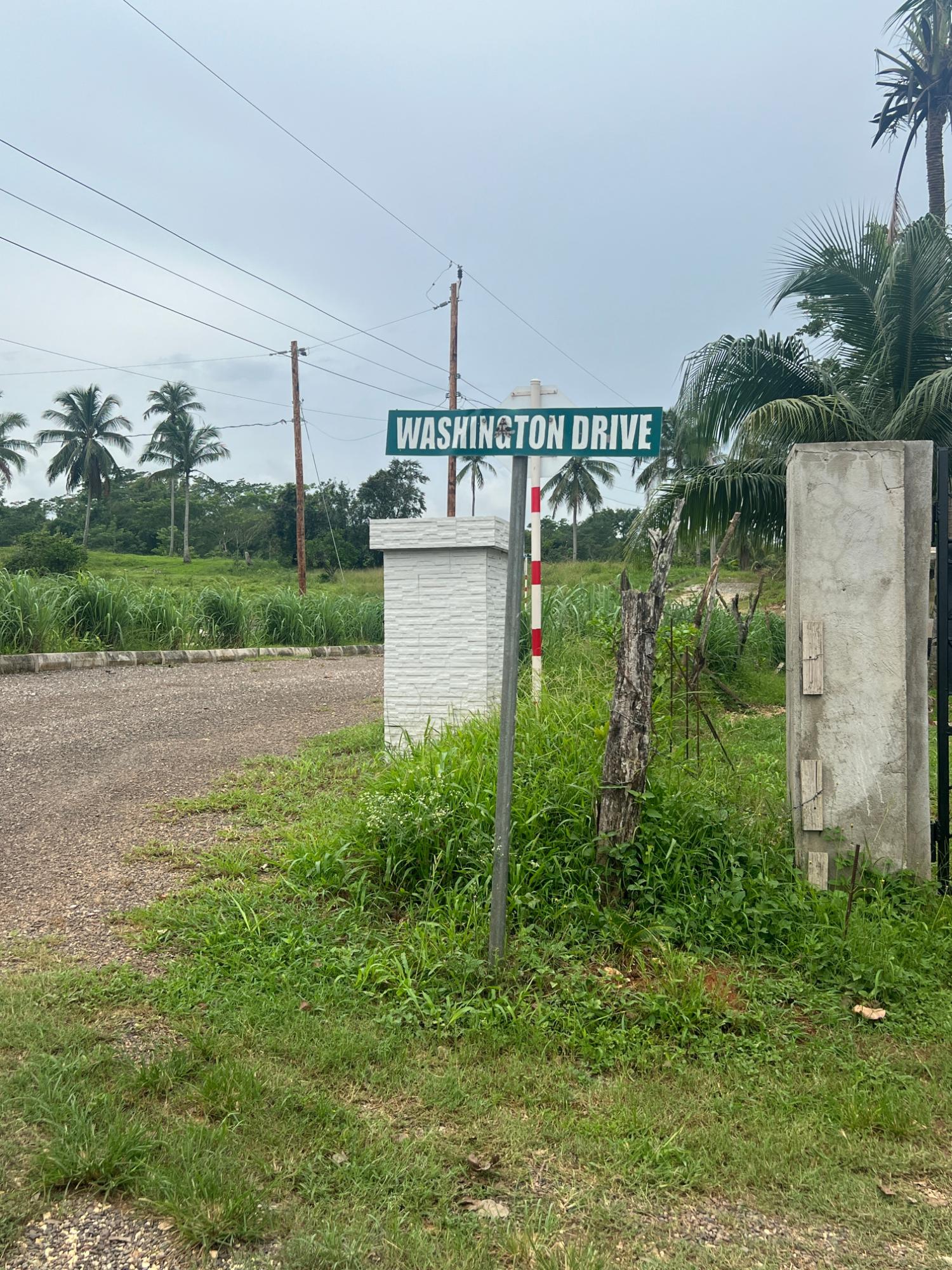 Real Estate Jamaica