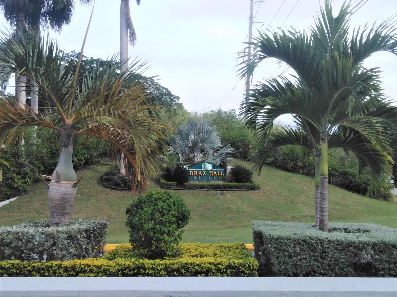 drax hall jamaica land for sale Kelly Sanchez